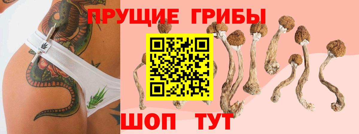 Галлюциногенные грибы Cubensis  Галлюциногенные грибы ЛСД  Амурск  Вход с VPN 