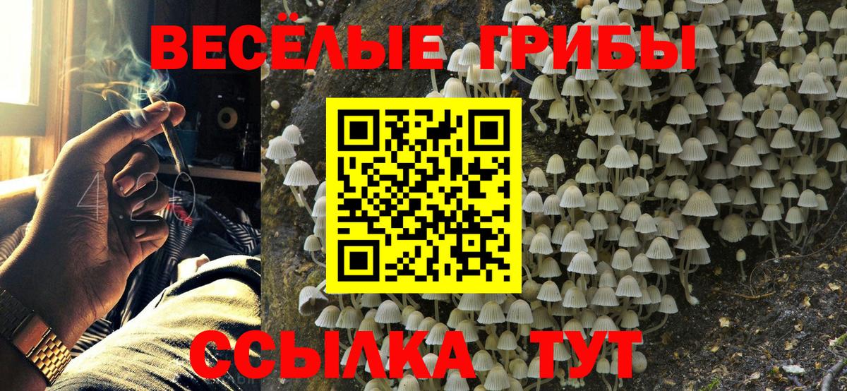 Галлюциногенные грибы мухоморы Амурск